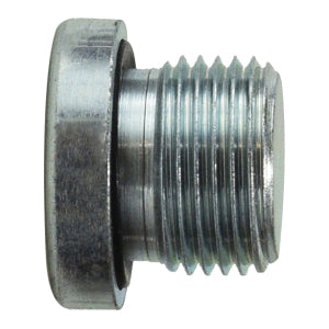 Hollow Hex Plug, 1/2 in Male BSPP, Steel