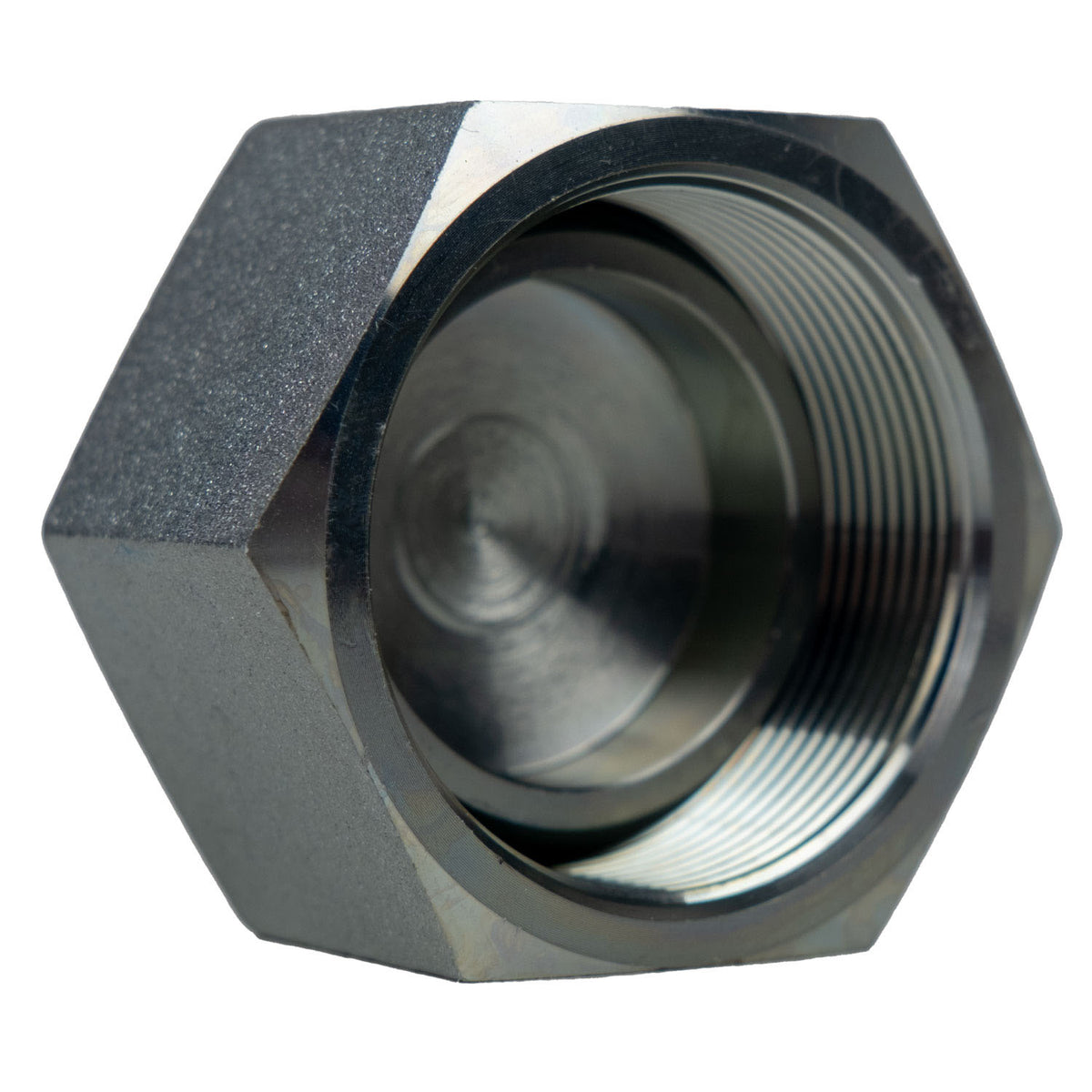 BSPP Swivel Cap, 1-1/4-in Female BSPP Swivel, Steel