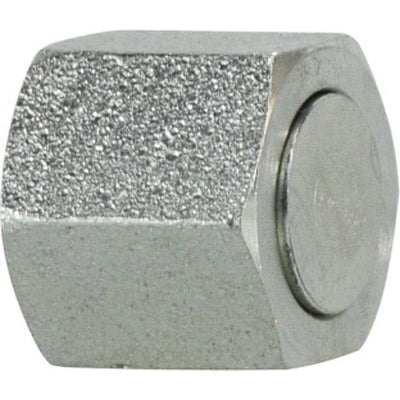 Cap, 1 in, Steel