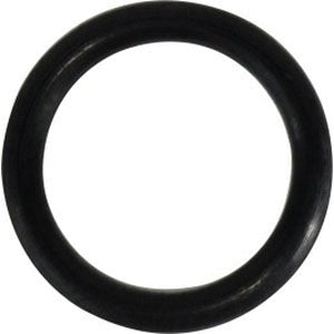 Boss O-Ring, 1/4 in ID, 0.351 in OD, FKM