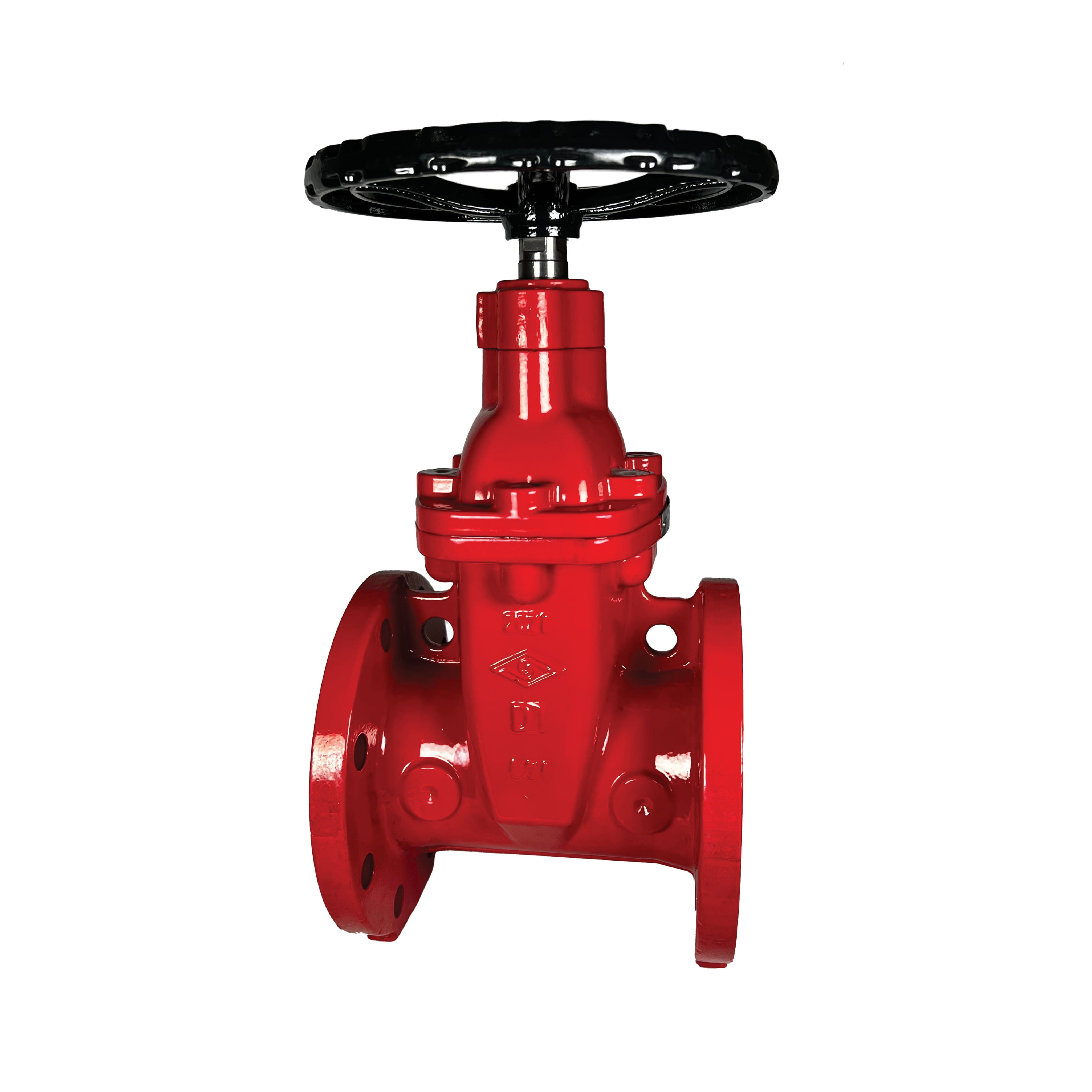 2" DI FL X FL Gate Valve NRS with BUNA