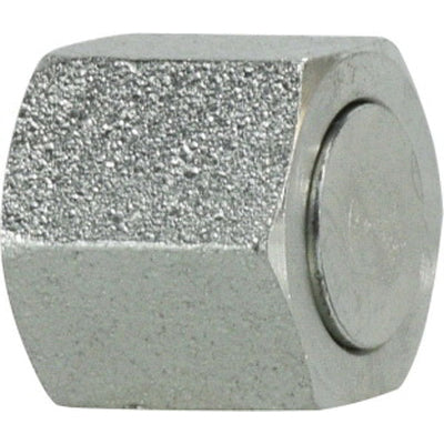 Cap, 3/4 in, Steel
