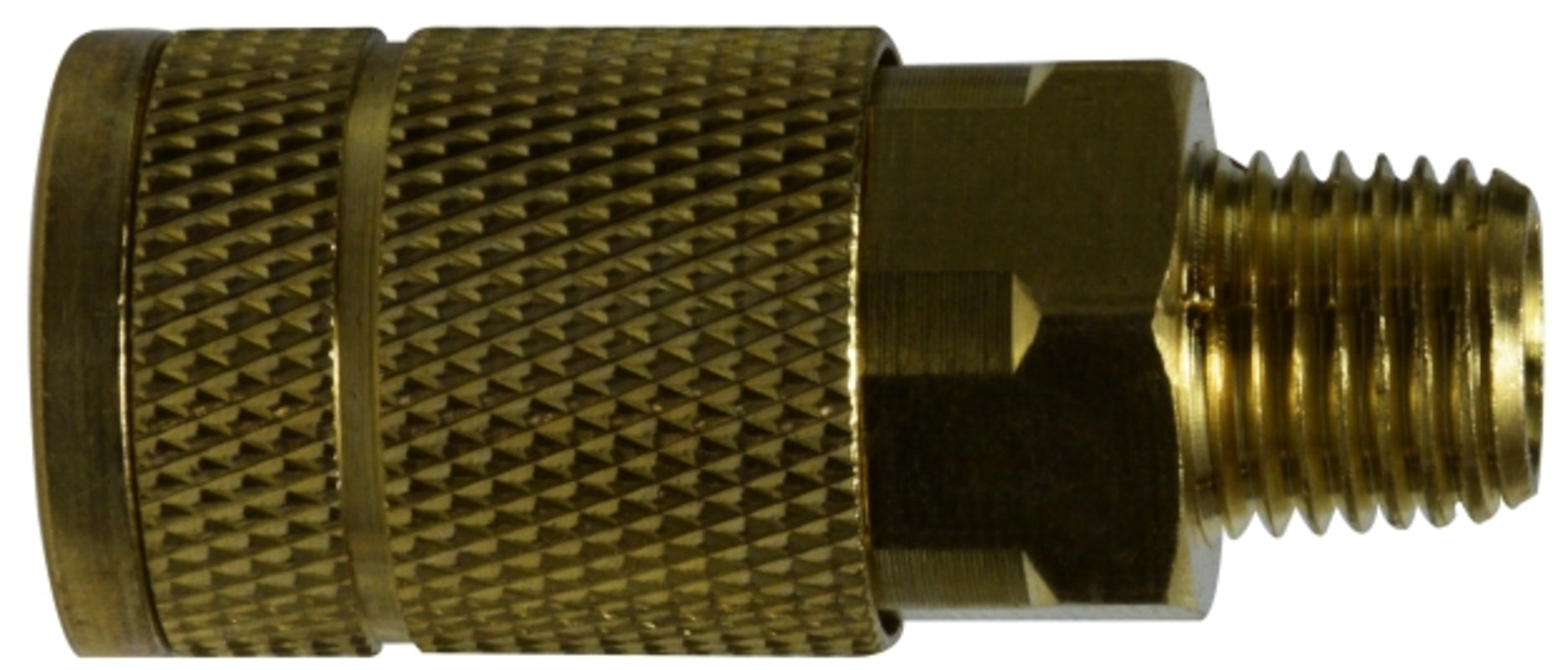 1/8 MIP PARKER TRU BRASS COUPLER - Fittings N' Valves