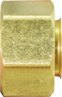 3/4 X 1/4 FEMALE GARDEN HOSE X FIP ADAPTER - Fittings N' Valves