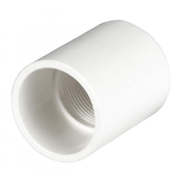 PVC Female Adapter - Schedule 40 - White - Socket x FPT - 1-1/4" (126/Cs) - Fittings N' Valves